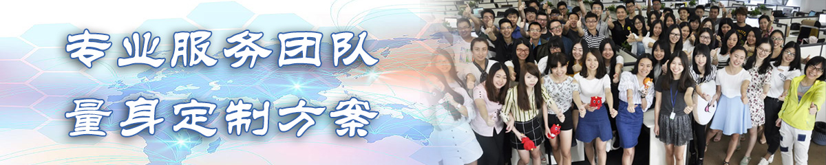 红河BI软件